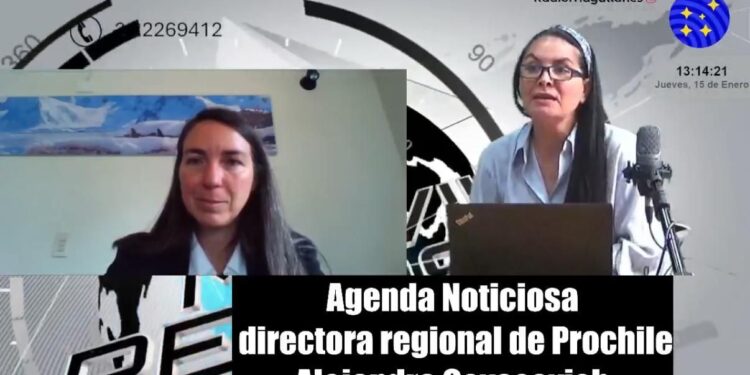 ProChile llama a empresas regionales a sumarse al proceso exportador