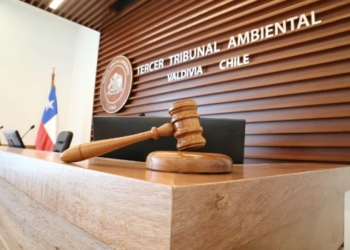 Tribunal Ambiental confirma rechazo a Programa de Cumplimiento de Australis Mar por sobreproducción en Punta Arenas