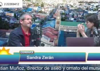 Municipio de Punta Arenas presentará querella criminal contra dueño de los perros, tras brutal ataque de jauría a un niño y su madre.