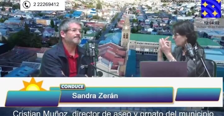 Municipio de Punta Arenas presentará querella criminal contra dueño de los perros, tras brutal ataque de jauría a un niño y su madre.