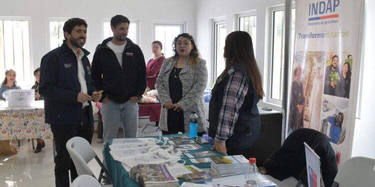 Gobierno en Terreno realizó Plaza Ciudadana en sector Los Sueños del Andino de Punta Arenas