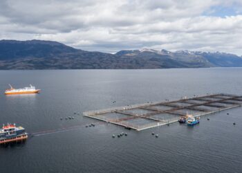Salmonicultura y turismo en Puerto Natales: la convivencia que se vive en tierra y en los fiordos.
