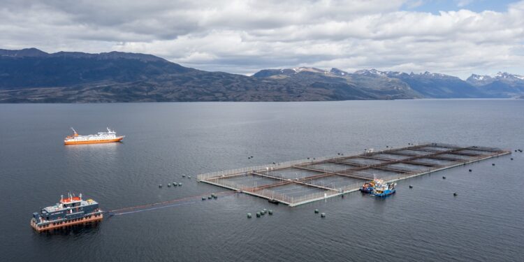 Salmonicultura y turismo en Puerto Natales: la convivencia que se vive en tierra y en los fiordos.