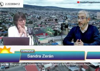Servicio de Biodiversidad y Áreas Protegidas (SBAP) inicia operaciones en Magallanes: Un hito para la conservación regional.