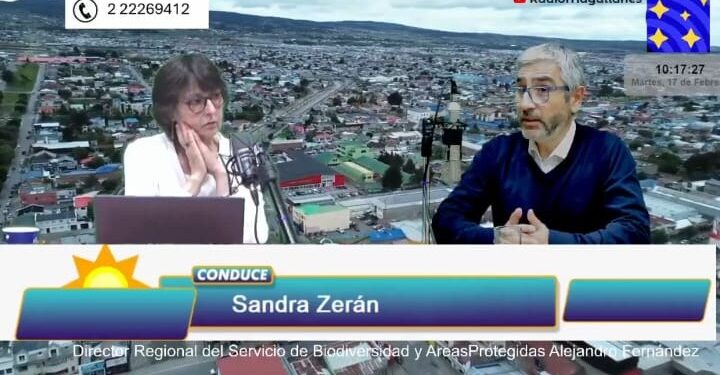 Servicio de Biodiversidad y Áreas Protegidas (SBAP) inicia operaciones en Magallanes: Un hito para la conservación regional.