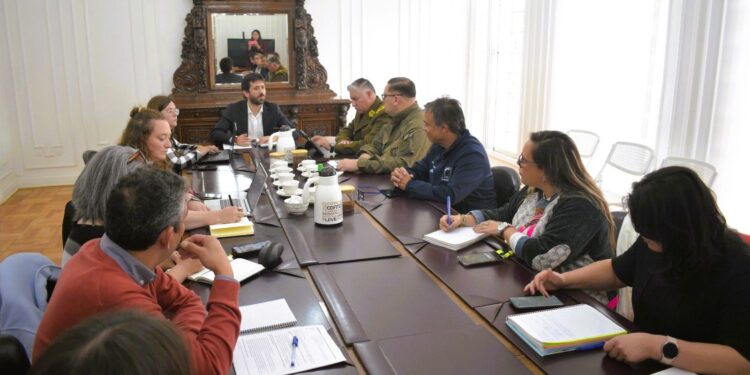 Autoridades coordinan plan especial para el inicio del Año Escolar 2026 en Magallanes