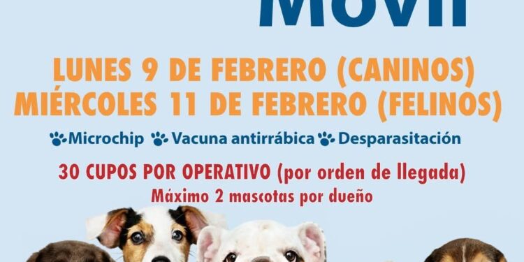Clínica Móvil llegará con atención gratuita para perros y gatos en Punta Arenas