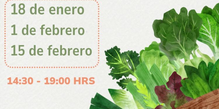 Sabores y tradiciones regionales se citan este domingo en la Feria Hortícola y Artesanal de Río Seco.