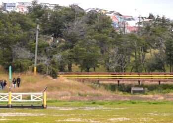 Jóvenes del taller “Botánica Didáctica” visitaron el Parque María Behety, en el Día Internacional de los Humedales