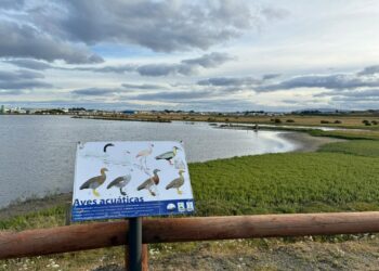 Destacan trabajo colaborativo para proteger el Humedal Tres Puentes durante obras sanitarias en Magallanes