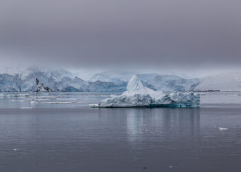INACH definió al nuevo Consejo de la Sociedad Civil 2026–2029, convocatoria pública.