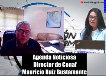 Preocupación en Torres del Paine, aumentan expulsiones de turistas por mal comportamiento y CONAF anuncia más control y tecnología