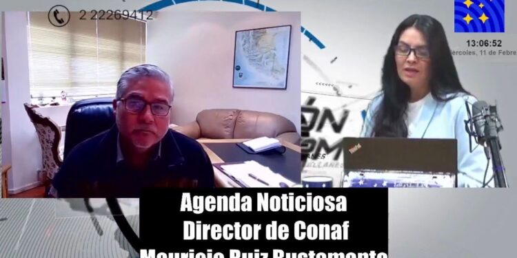 Preocupación en Torres del Paine, aumentan expulsiones de turistas por mal comportamiento y CONAF anuncia más control y tecnología