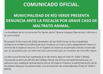 Municipio de Río Verde presenta denuncia ante Fiscalía por grave caso de maltrato animal