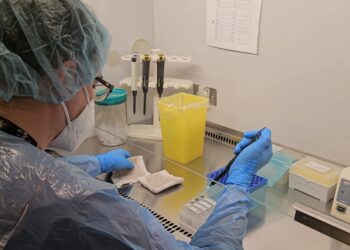 Servicio de Salud Magallanes implementa test PCR para VPH en su Red Asistencial.