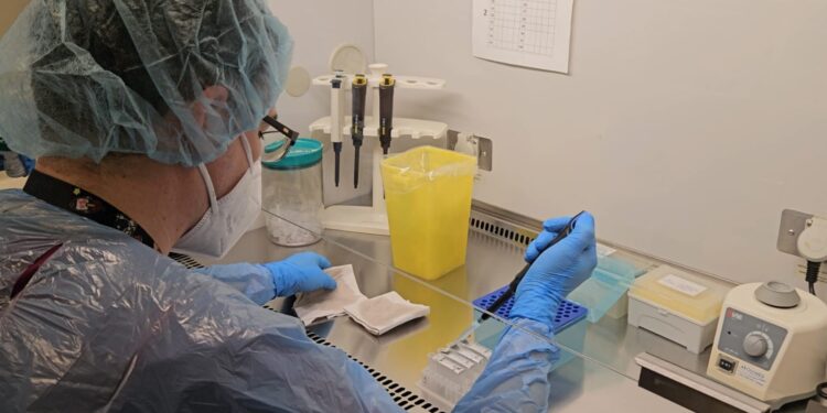 Servicio de Salud Magallanes implementa test PCR para VPH en su Red Asistencial.