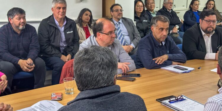 Aprueban minicentral hidroeléctrica en río Guerrico, energía más limpia y mayor autonomía para Puerto Williams