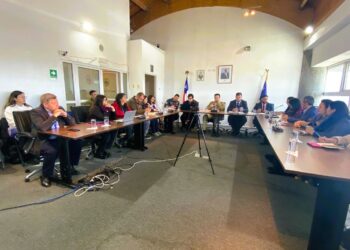 Servicio de Reinserción Social Juvenil refuerza trabajo preventivo en Consejo Intercomunal de Seguridad en Última Esperanza