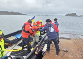Autoridad Marítima realizó evacuación médica de pasajera desde buque polar en la Antártica
