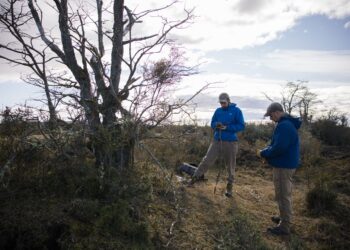 Refuerzan protección del Monumento Natural Canquén Colorado en San Juan