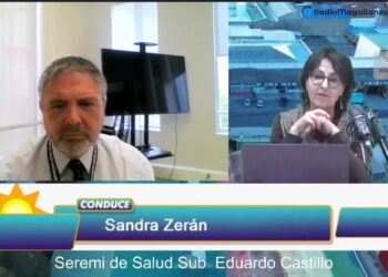 Preocupación por ataques de perros y llamado a comprar útiles seguros, Seremi de Salud detalla acciones y avances en Magallanes