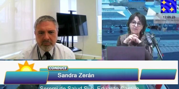 Preocupación por ataques de perros y llamado a comprar útiles seguros, Seremi de Salud detalla acciones y avances en Magallanes