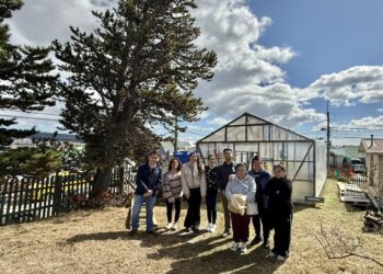 Diez familias de Punta Arenas se suman a programa de Seguridad Alimentaria para producir alimentos saludables