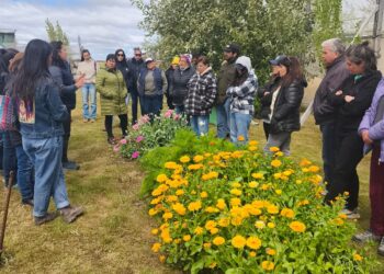 INIA Puertas Abiertas en Natales acercó la agroecología y la innovación a la comunidad
