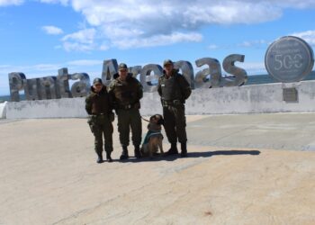 Carabineros de la 1ª Comisaría Punta Arenas presenta a su nuevo can de Orden y Seguridad