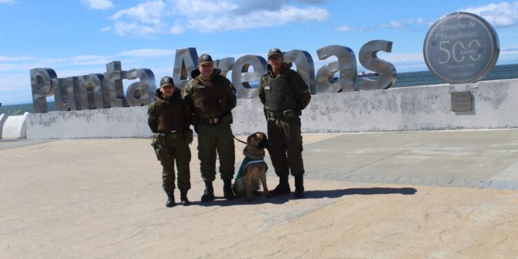 Carabineros de la 1ª Comisaría Punta Arenas presenta a su nuevo can de Orden y Seguridad