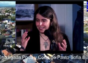 Municipio aclara que no puede intervenir en casas abandonadas, mantención interior es responsabilidad de los propietarios