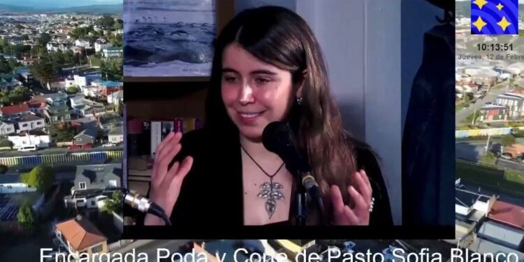 Municipio aclara que no puede intervenir en casas abandonadas, mantención interior es responsabilidad de los propietarios