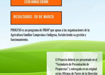 INDAP Magallanes abre postulaciones al concurso PROGYSO 2026 para fortalecer organizaciones campesinas