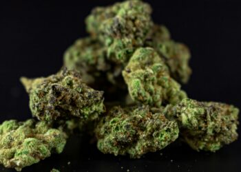 Limpieza en San Juan terminó con hallazgo de cuatro bolsas de marihuana entre los residuos