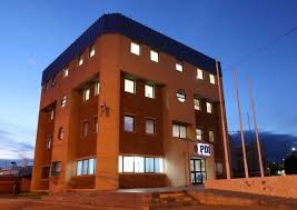 PDI Punta Arenas detiene a un sujeto por microtráfico: En su domicilio, mantenía Cannabis, Hongos Psilocybe y más de $6 millones en efectivo