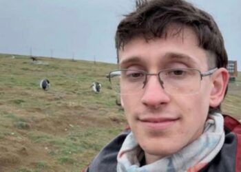 Guía turístico denuncia despido tras alertar drástica disminución de pingüinos en Isla Magdalena