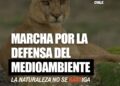 Convocan a marcha por la defensa del medio ambiente en Punta Arenas