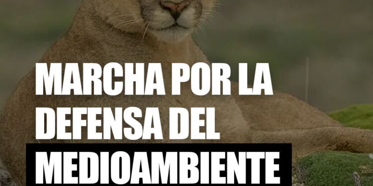 Convocan a marcha por la defensa del medio ambiente en Punta Arenas