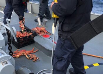 Corte Suprema confirma millonaria multa a armador por infracciones a normativa pesquera