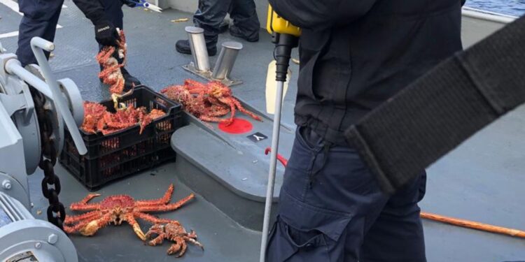 Corte Suprema confirma millonaria multa a armador por infracciones a normativa pesquera