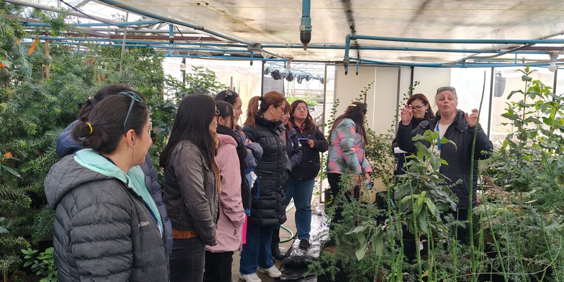 Funcionarias del INACH visitan vivero de CONAF en Punta Arenas y conocen avances del Bosque Antártico del futuro CAI