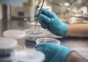 Magallanes recibe más de $13 mil millones para investigación científica y tecnológica