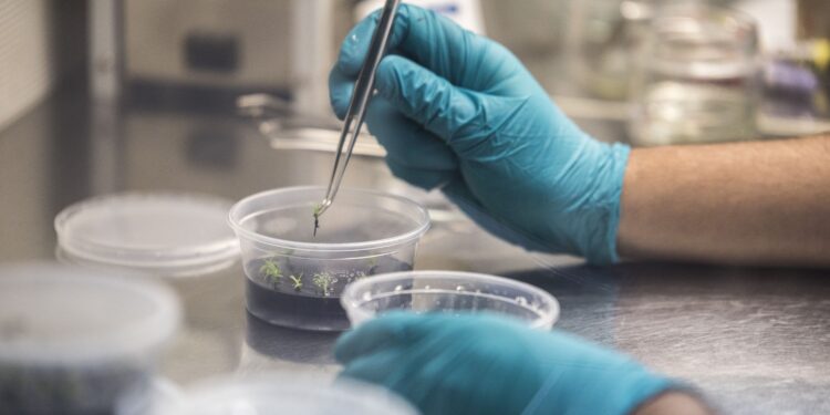 Magallanes recibe más de $13 mil millones para investigación científica y tecnológica