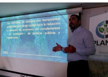 Proyecto Respira Patagonia analiza en Punta Arenas el potencial de los suelos magallánicos en el mercado global de carbono