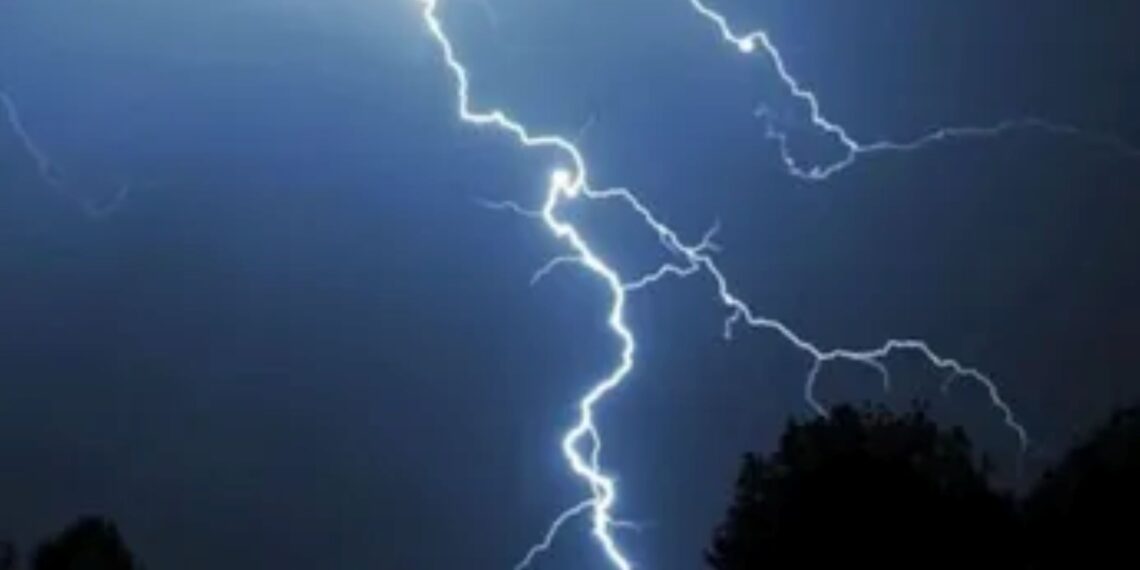 Rayo impacta árbol en sector de Estancia Jerónima durante sistema frontal en Magallanes