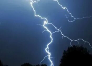 Rayo impacta árbol en sector de Estancia Jerónima durante sistema frontal en Magallanes