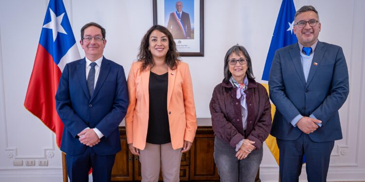 Gobierno instala nuevas autoridades provinciales en Magallanes y define prioridades de gestión