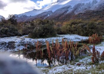 Primeras nevadas en Tierra del Fuego: autoridades llaman a extremar precauciones en rutas