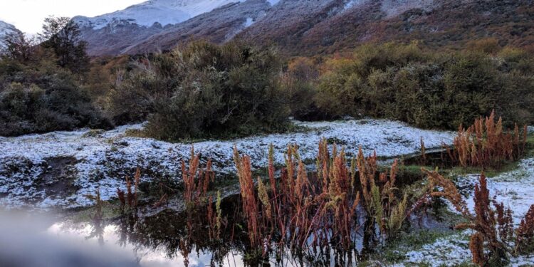 Primeras nevadas en Tierra del Fuego: autoridades llaman a extremar precauciones en rutas
