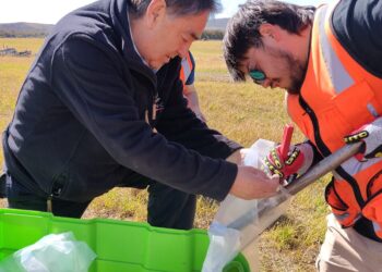 Conversatorio en Punta Arenas abordará el rol de los suelos patagónicos en la acción climática y el mercado global de carbono